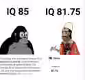 440.9 KB