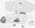 2.0 MB