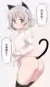 54.4 KB