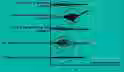 182.8 KB