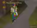 13.3 KB