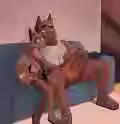 686.1 KB