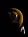 7.6 KB